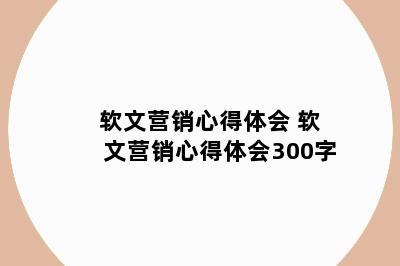 软文营销心得体会 软文营销心得体会300字